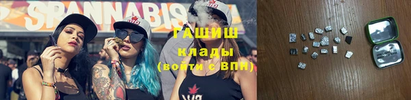 индика Каменка
