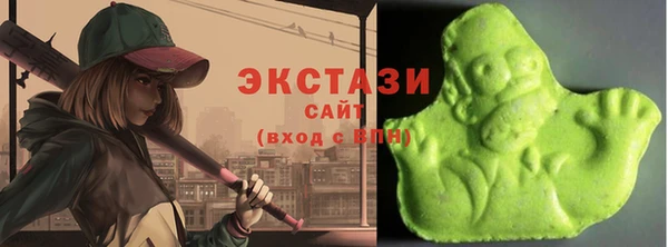 индика Каменка