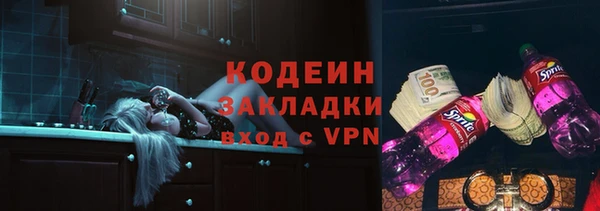 индика Каменка
