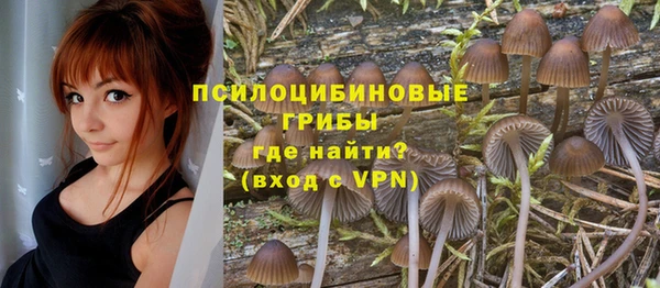 индика Каменка
