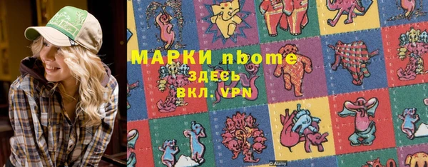 индика Каменка