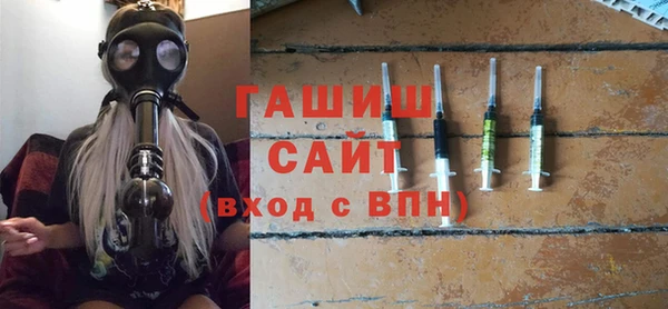 индика Каменка