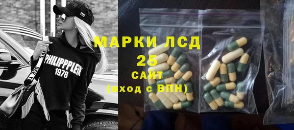 индика Каменка