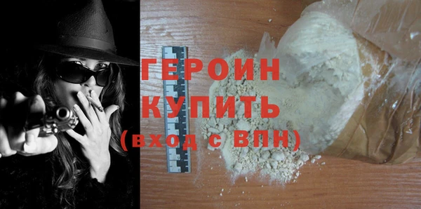индика Каменка