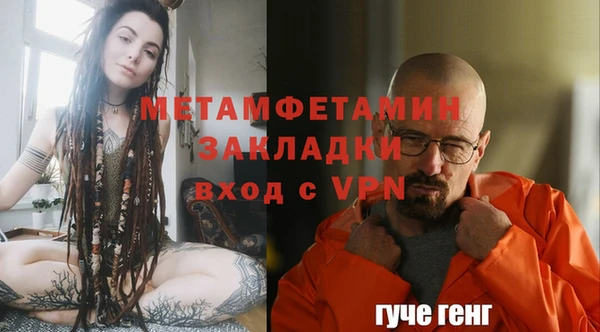 индика Каменка