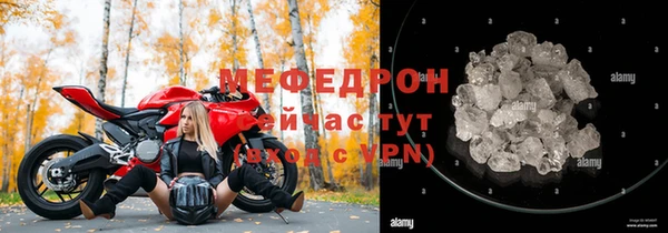 индика Каменка