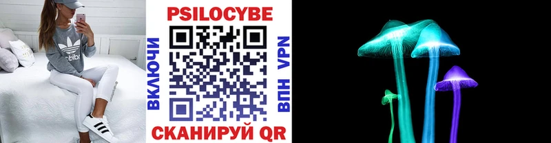 Купить закладки  Благодарный  Галлюциногенные грибы Magic Shrooms 